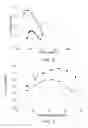 Fig. 06 - Optical transmission system including dispersion slope compensation