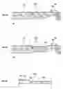 Fig. 06 - Developing unit with developer opening/closing member