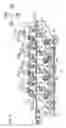 Fig. 06 - Image forming apparatus with cam members
