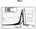Fig. 06 - Hydroxyapaltite calcium phosphate granules, method for preparing same and uses thereof