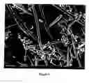 Fig. 05 - Carbon nanostructures and process for the production of carbon-based nanotubes, nanofibres and nanostructures