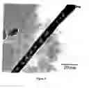 Fig. 09 - Carbon nanostructures and process for the production of carbon-based nanotubes, nanofibres and nanostructures