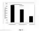 Fig. 08 - METHODS AND COMPOSITIONS FOR DIAGNOSIS AND IMMUNOTHERAPY OF POLLEN ALLERGY