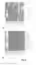 Fig. 09 - METHODS AND COMPOSITIONS FOR DIAGNOSIS AND IMMUNOTHERAPY OF POLLEN ALLERGY
