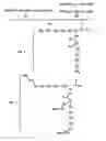 Fig. 02 - Novel PEGylation agent