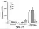 Fig. 09 - Composition for inducing immune response comprising inverted microsomes