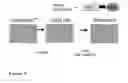 Fig. 03 - Methods, agents, and compound screening assays for inducing differentiation of undifferentiatied mammalian cells into osteoblasts