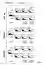 Fig. 07 - Conditional gene vectors regulated in 