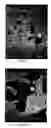 Fig. 10 - ARTIFICIAL STABILIZED COMPOSITION OF CALCIUM PHOSPHATE PHASES PARTICULARLY ADAPTED FOR SUPPORTING BONE CELL ACTIVITY