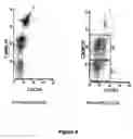 Fig. 07 - Isolated cd4+ t cells defined by cmrf-35