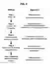Fig. 04 - Re-targeted toxin conjugates
