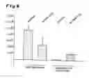 Fig. 06 - Use of a novel eimeria gene and corresponding protein