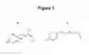 Fig. 02 - Method of using abscisic acid to treat diseases and disorders