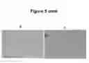 Fig. 09 - Method of using abscisic acid to treat diseases and disorders