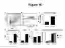 Fig. 15 - Method of using abscisic acid to treat diseases and disorders