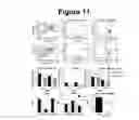 Fig. 16 - Method of using abscisic acid to treat diseases and disorders