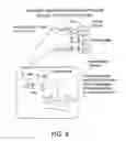 Fig. 09 - Epitope synchronization in antigen presenting cells