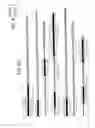 Fig. 10 - Epitope synchronization in antigen presenting cells