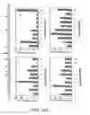 Fig. 22 - Epitope synchronization in antigen presenting cells