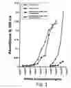 Fig. 04 - Recombinant toxin fragments