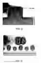 Fig. 02 - Biomedical device having crosslinked biopolymer micro pattern and preparation thereof