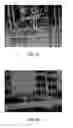 Fig. 06 - Biomedical device having crosslinked biopolymer micro pattern and preparation thereof