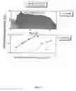 Fig. 04 - Formulation for topical non-invasive application in vivo