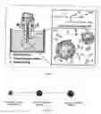 Fig. 02 - SURFACE MODIFIED PROTEIN MICROPARTICLES