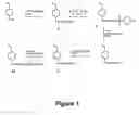 Fig. 02 - Adhesin-specific nanoparticles and process for using same