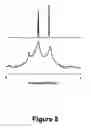 Fig. 07 - Adhesin-specific nanoparticles and process for using same