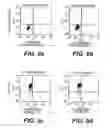 Fig. 07 - Herbal composition for treating CD33+ acute and chronic myeloid leukemia and a method thereof
