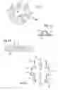 Fig. 05 - Method of preparing a cosmetic composition, and an apparatus for implementing such a method