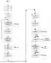 Fig. 01 - Processes for recovery and separation of grain pericarp from endosperm