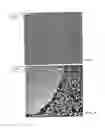 Fig. 03 - Powder particles that are uniformly coated with functional groups, method for their production and use thereof