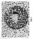 Fig. 02 - Transparent, super-hydrophobic, disordered composite material