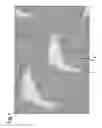 Fig. 02 - Plastic planar structure comprising a foamed upper layer