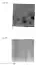 Fig. 03 - Macromolecules auto-assembled and photopolymerised around carbon nanotubes, a method for production and application thereof