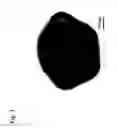 Fig. 02 - Resin particles comprising a (meth)acrylate copolymer and a surfactant having a sulfonic-acid or sulfonate group
