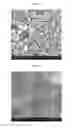 Fig. 03 - Ceramic coating and method of preparation thereof