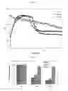 Fig. 05 - Ceramic coating and method of preparation thereof