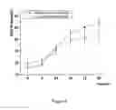 Fig. 08 - Ceramic coating and method of preparation thereof