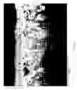 Fig. 05 - Method for forming thick quasi-single phase and single phase platinum nickel aluminide coatings