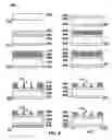 Fig. 07 - Membrane electrode assembly in solid oxide fuel cells