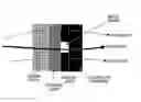 Fig. 01 - Catalyst coated electrolyte membrane, fuel cell including the same, method of preparing the catalyst coated electrolyte membrane