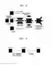 Fig. 05 - Catalyst coated electrolyte membrane, fuel cell including the same, method of preparing the catalyst coated electrolyte membrane