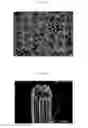 Fig. 02 - Carbon fiber