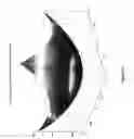 Fig. 21 - Systems, masks, and methods for photolithography
