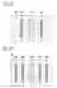 Fig. 30 - Photomask, pattern formation method using the same and mask data creation method