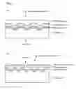 Fig. 02 - Optical recording material and optical recording medium