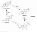 Fig. 01 - Method for measuring aromatase activity